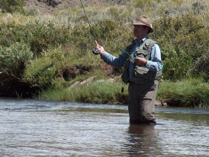 DADFISHIN