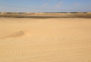 coastal dunes